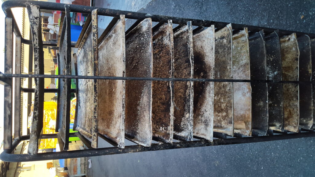 Before photo 1